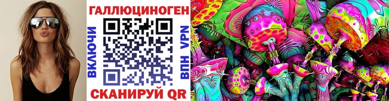 Галлюциногенные грибы Psilocybe  Афипский 